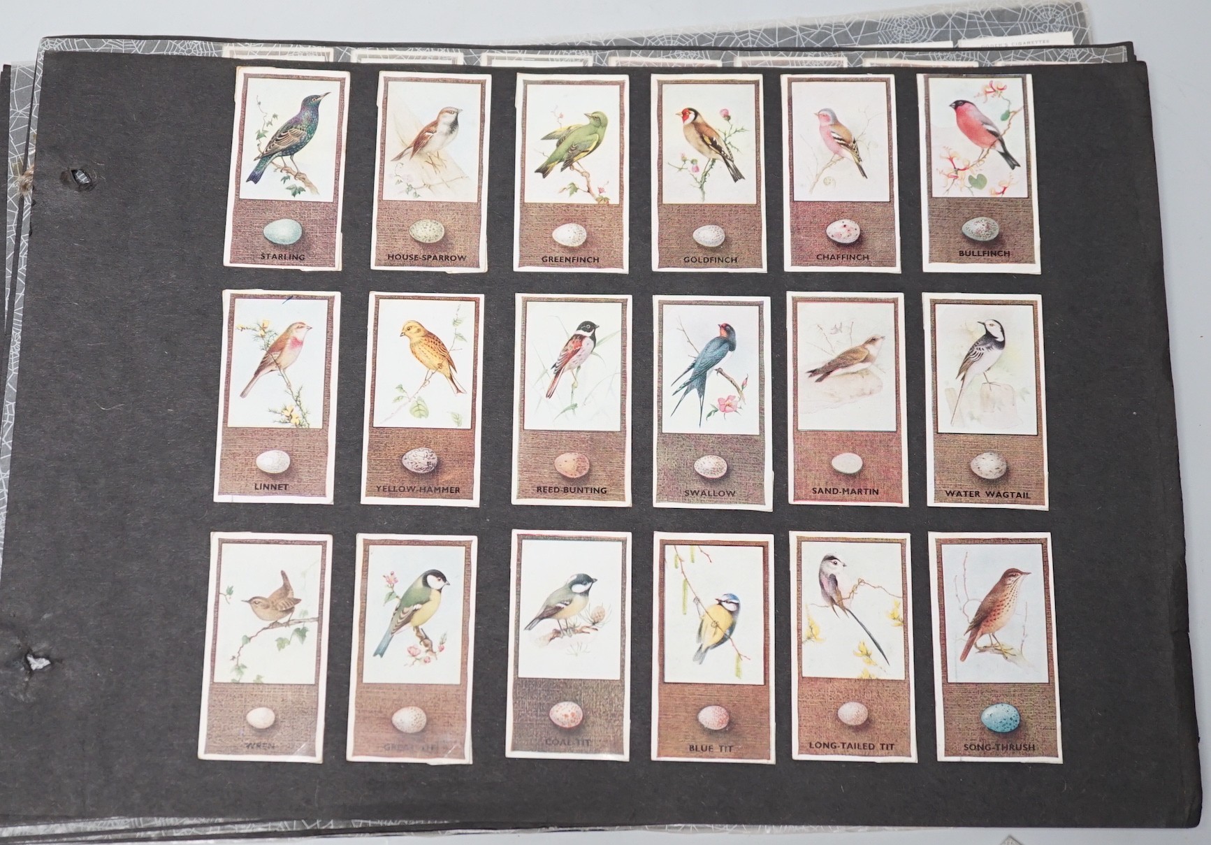 Cigarette and tea cards and loose stamps, including sets of British birds by Phillips, Ogdens and Carrolls